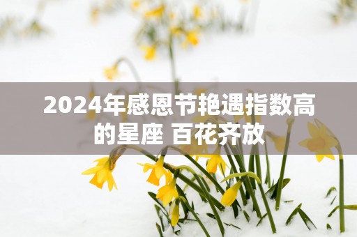 2025年感恩节艳遇指数高的星座 百花齐放