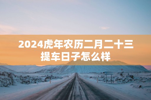2025蛇年农历二月二十三提车日子怎么样
