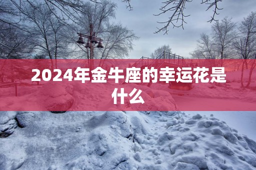 2024年金牛座的幸运花是什么