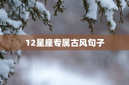 12星座专属古风句子