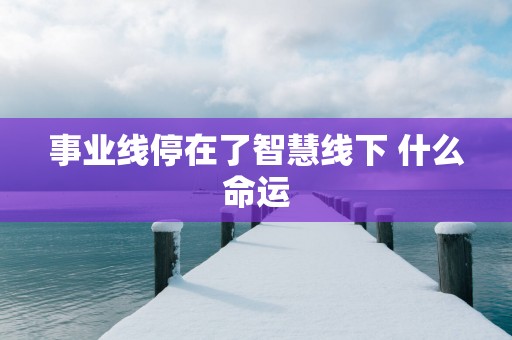 事业线停在了智慧线下 什么命运