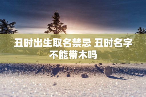 丑时出生取名禁忌 丑时名字不能带木吗