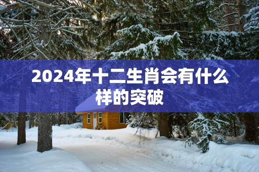 2025年十二生肖会有什么样的突破