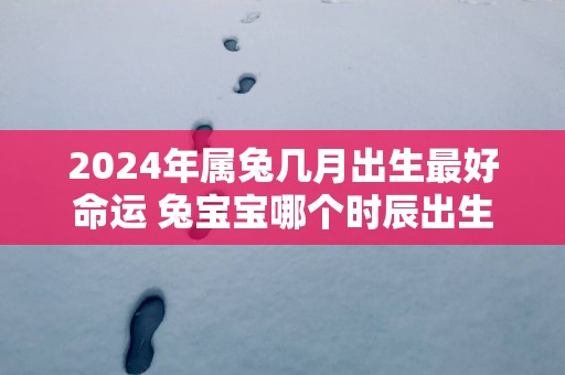 2025年属兔几月出生最好命运 兔宝宝哪个时辰出生好