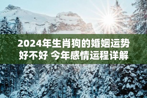 2025年生肖狗的婚姻运势好不好 今年感情运程详解