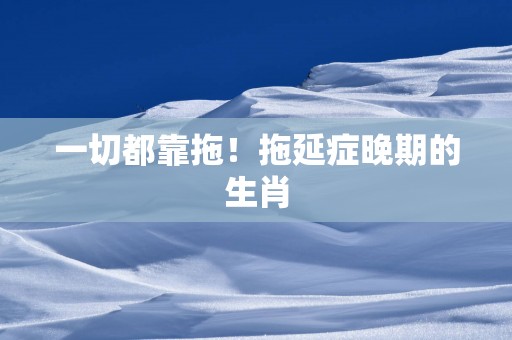 一切都靠拖！拖延症晚期的生肖