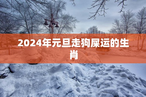 2025年元旦走狗屎运的生肖