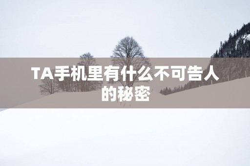 TA手机里有什么不可告人的秘密