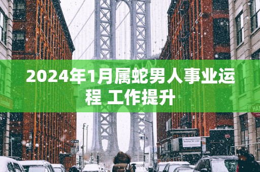 2025年1月属蛇男人事业运程 工作提升