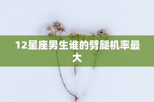 12星座男生谁的劈腿机率最大