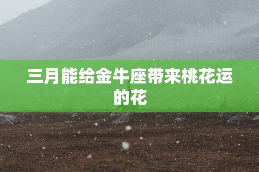三月能给金牛座带来桃花运的花