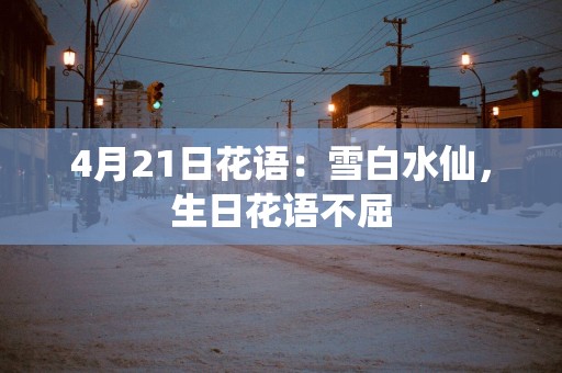 4月21日花语：雪白水仙，生日花语不屈