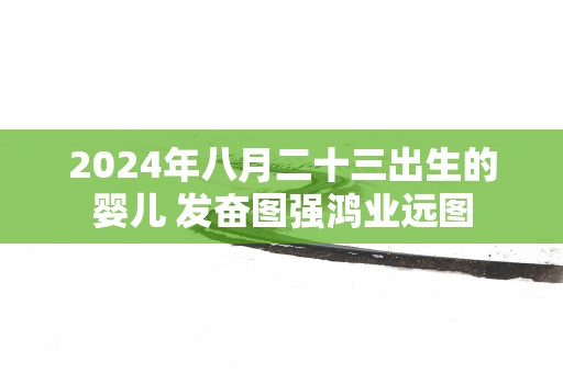 2025年八月二十三出生的婴儿 发奋图强鸿业远图