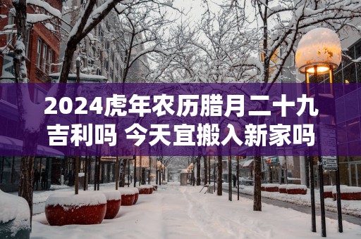 2025蛇年农历腊月二十九吉利吗 今天宜搬入新家吗