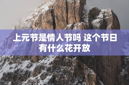 上元节是情人节吗 这个节日有什么花开放
