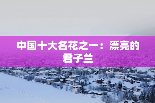 中国十大名花之一：漂亮的君子兰