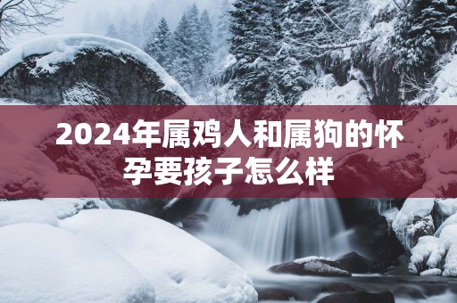 2025年属鸡人和属狗的怀孕要孩子怎么样