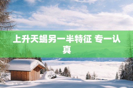 上升天蝎另一半特征 专一认真