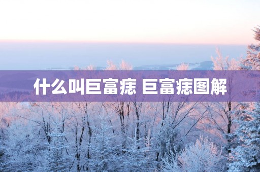 什么叫巨富痣 巨富痣图解