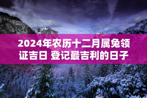 2025年农历十二月属兔领证吉日 登记最吉利的日子