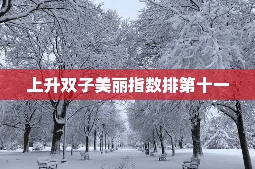 上升双子美丽指数排第十一