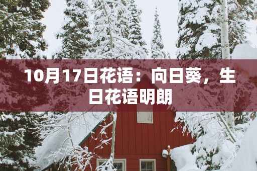 10月17日花语：向日葵，生日花语明朗