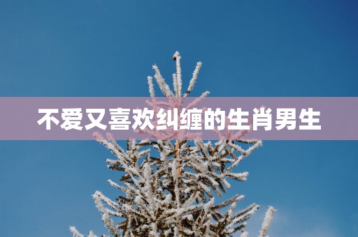 不爱又喜欢纠缠的生肖男生