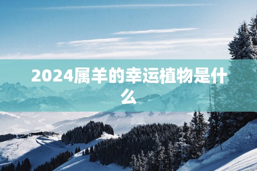 2024属羊的幸运植物是什么