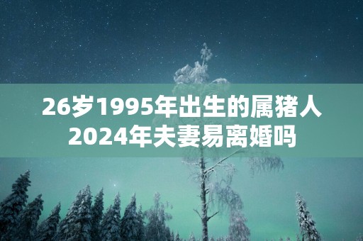 26岁1995年出生的属猪人2025年夫妻易离婚吗
