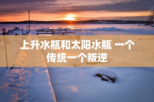 上升水瓶和太阳水瓶 一个传统一个叛逆