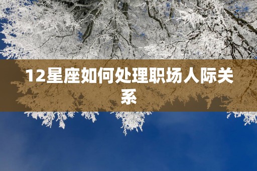 12星座如何处理职场人际关系