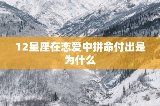 12星座在恋爱中拼命付出是为什么