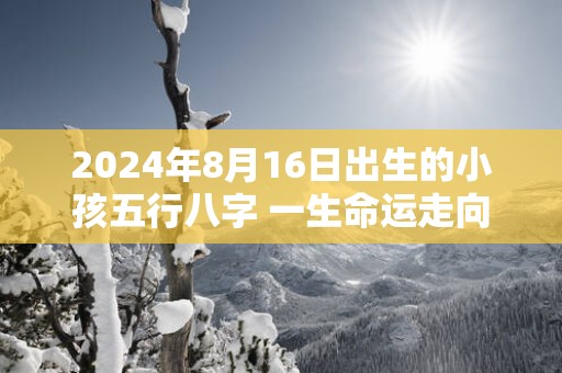 2025年8月16日出生的小孩五行八字 一生命运走向