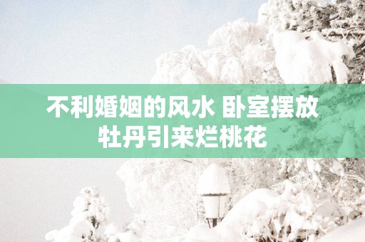 不利婚姻的风水 卧室摆放牡丹引来烂桃花