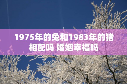 1975年的兔和1983年的猪相配吗 婚姻幸福吗