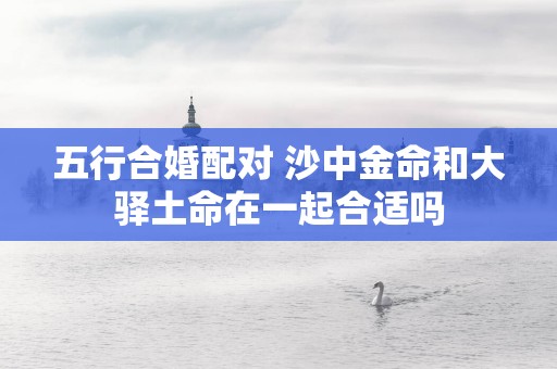 五行合婚配对 沙中金命和大驿土命在一起合适吗