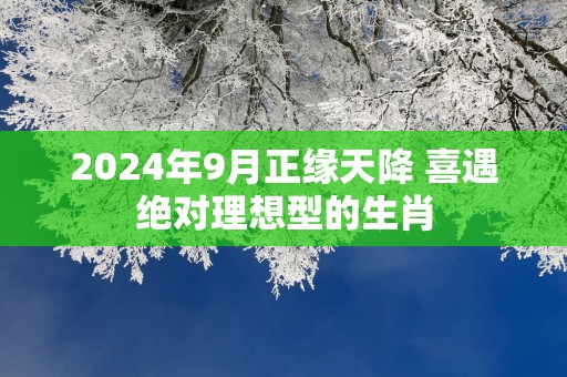 2025年9月正缘天降 喜遇绝对理想型的生肖