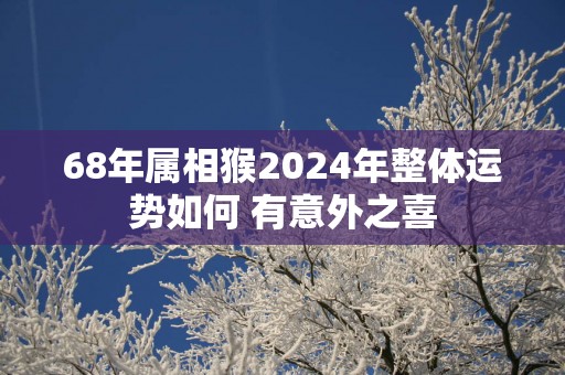 68年属相猴2025年整体运势如何 有意外之喜