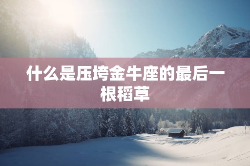 什么是压垮金牛座的最后一根稻草