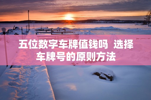 五位数字车牌值钱吗  选择车牌号的原则方法