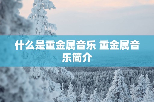 什么是重金属音乐 重金属音乐简介