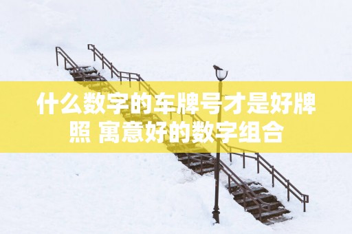 什么数字的车牌号才是好牌照 寓意好的数字组合