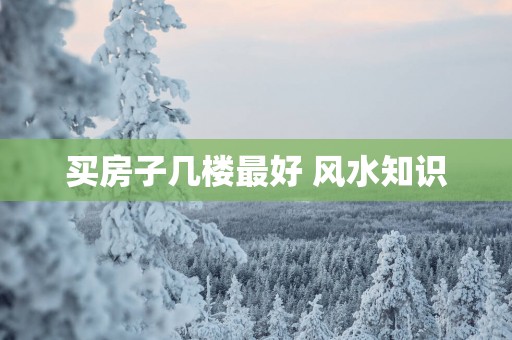 买房子几楼最好 风水知识