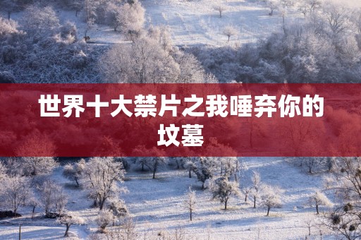 世界十大禁片之我唾弃你的坟墓