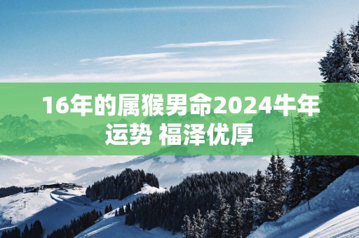 16年的属猴男命2024牛年运势 福泽优厚