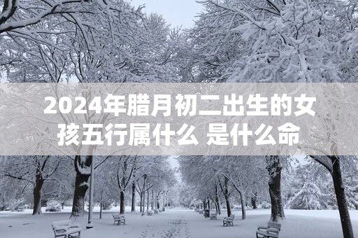 2025年腊月初二出生的女孩五行属什么 是什么命