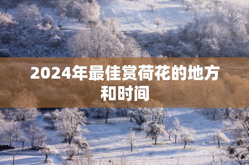 2025年最佳赏荷花的地方和时间