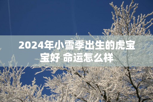 2025年小雪季出生的虎宝宝好 命运怎么样