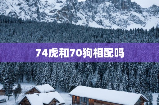 74虎和70狗相配吗