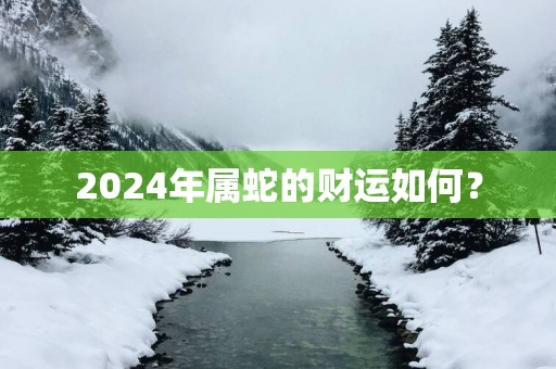 2025年属蛇的财运如何？